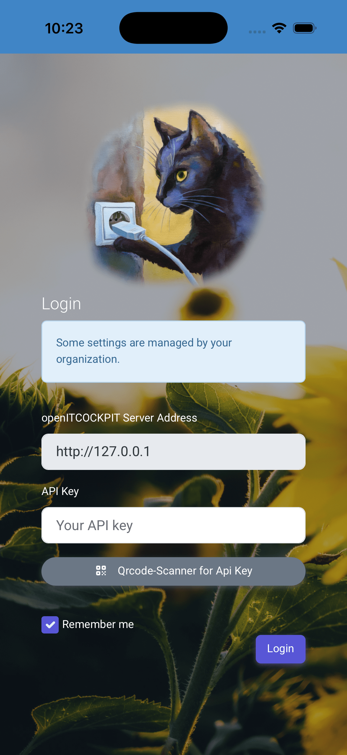 iOS MDM Custom Images