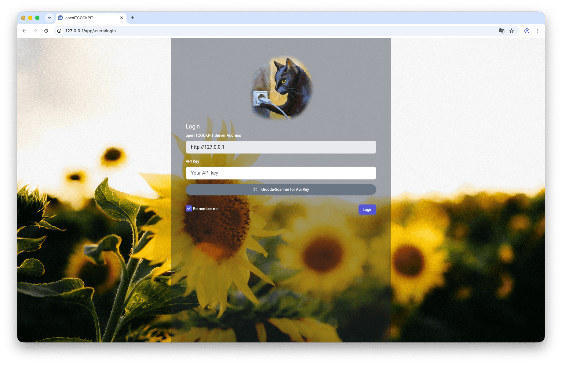 Example custom background and logo